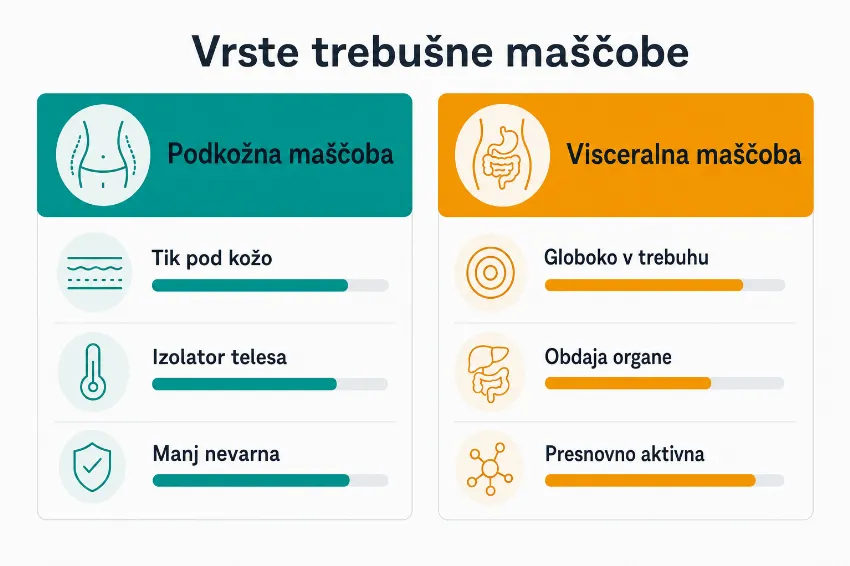 Infografika, ki primerja podkožno in visceralno maščobo.